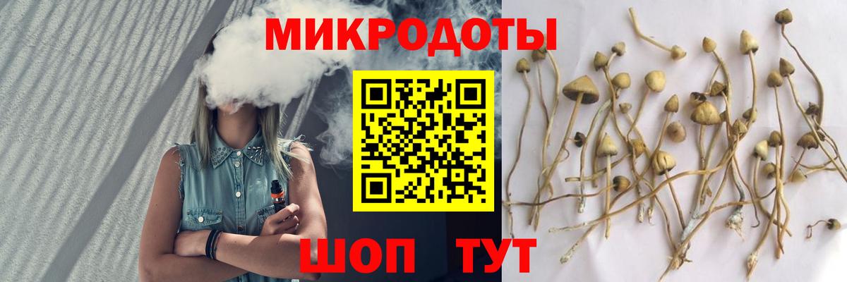 Галлюциногенные грибы Psilocybe Подольск